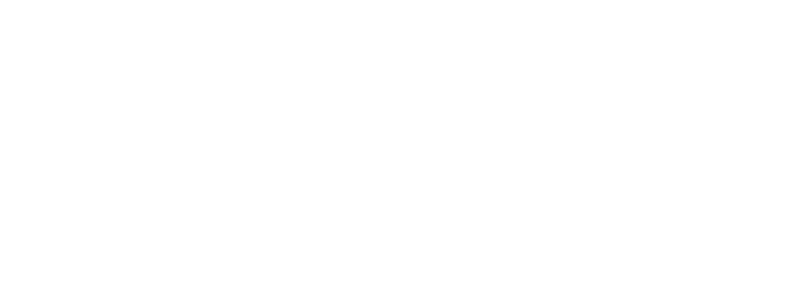 Treid